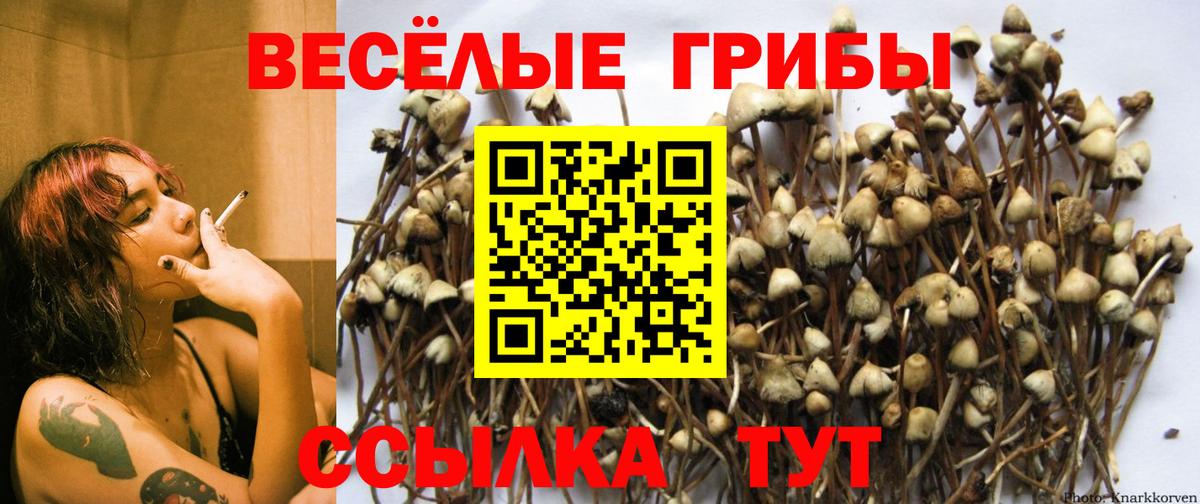 Галлюциногенные грибы мицелий Луховицы